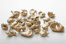 C87500 (Silicon Brass)